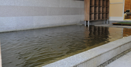 大川温泉緑の湯の内風呂
